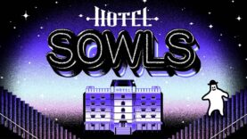 نقد و بررسی Hotel Sowls